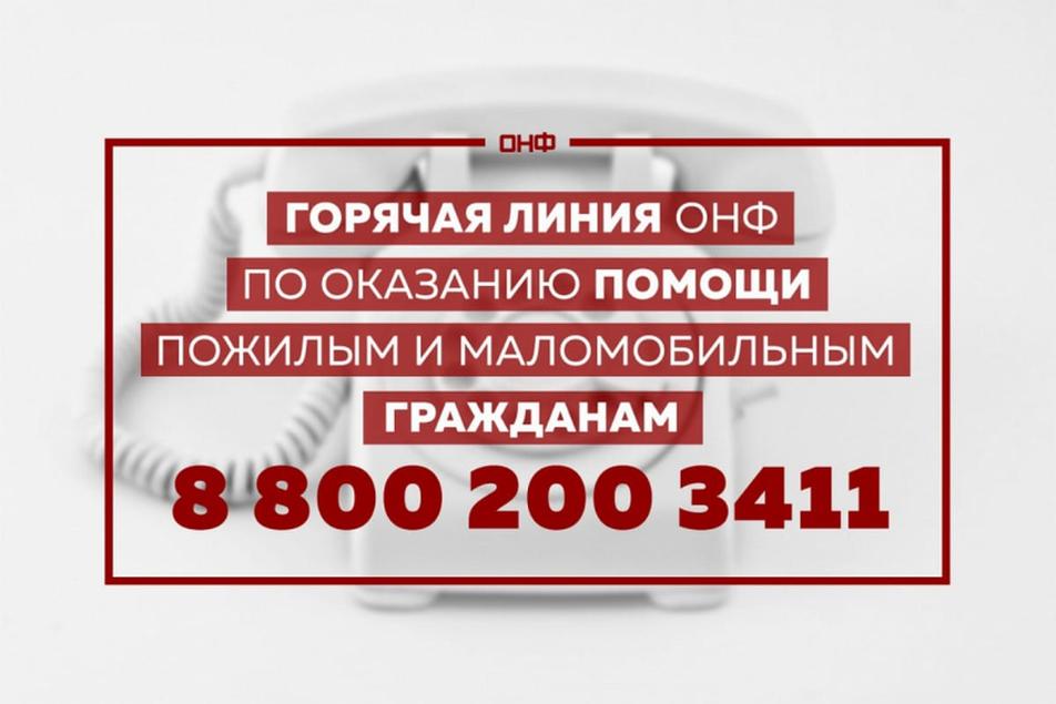 Горячая линия