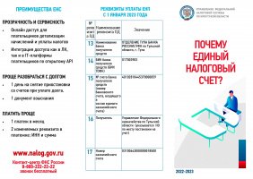 Почему Единый Налоговый Счет?