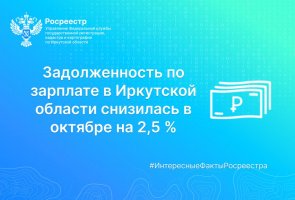 Задолженность по зарплате в Иркутской области снизилась в октябре на 2,5%.